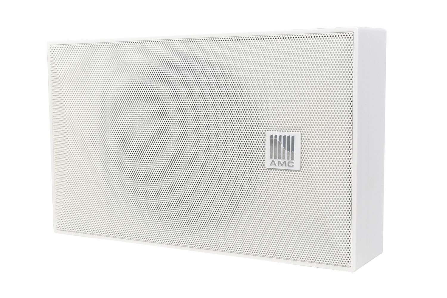 AMC iSpeak 5EN